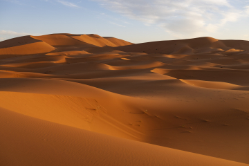 Dune du désert marocain lors d'un séjour photo accompagné