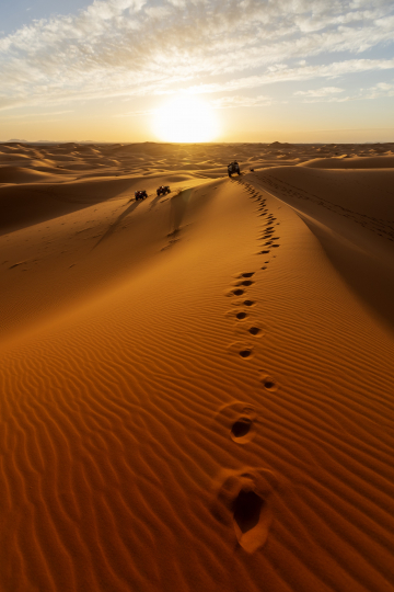 Photo de voyageurs dans le désert lors d'un voyage photo / Maroc