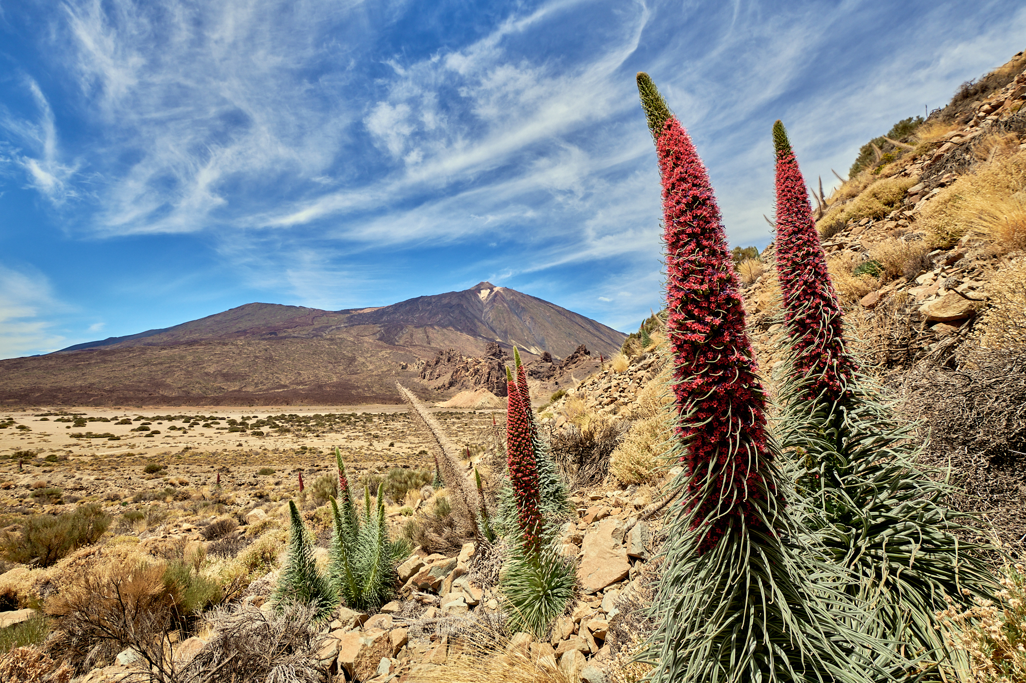 Paysages de Lanzarote aux îles Canaries
