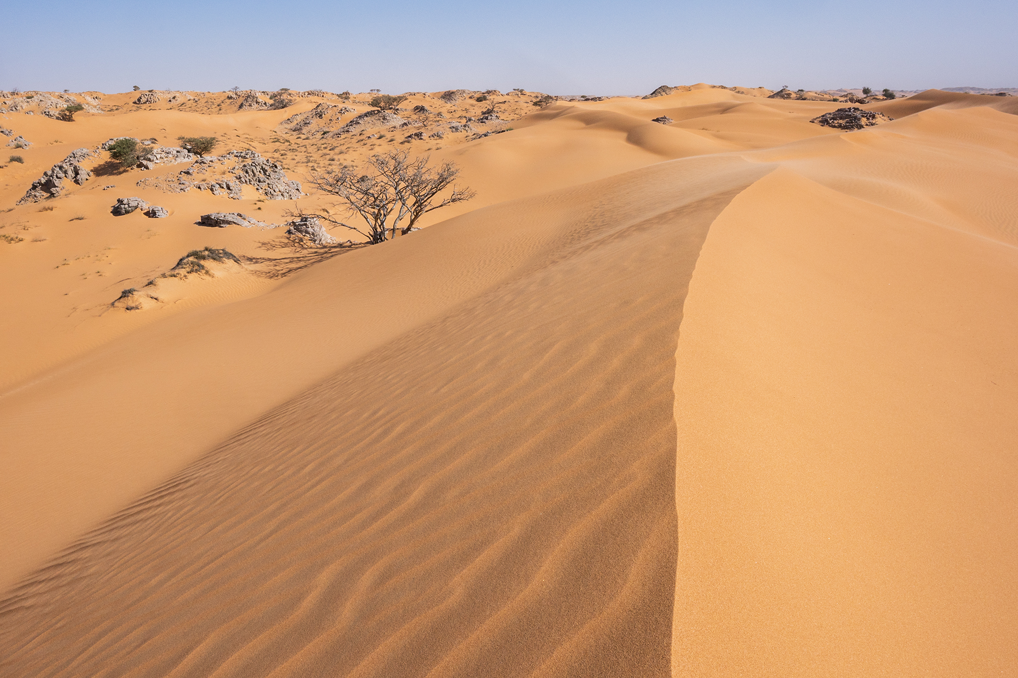 Sugar dunes Sugar dunes à Oman