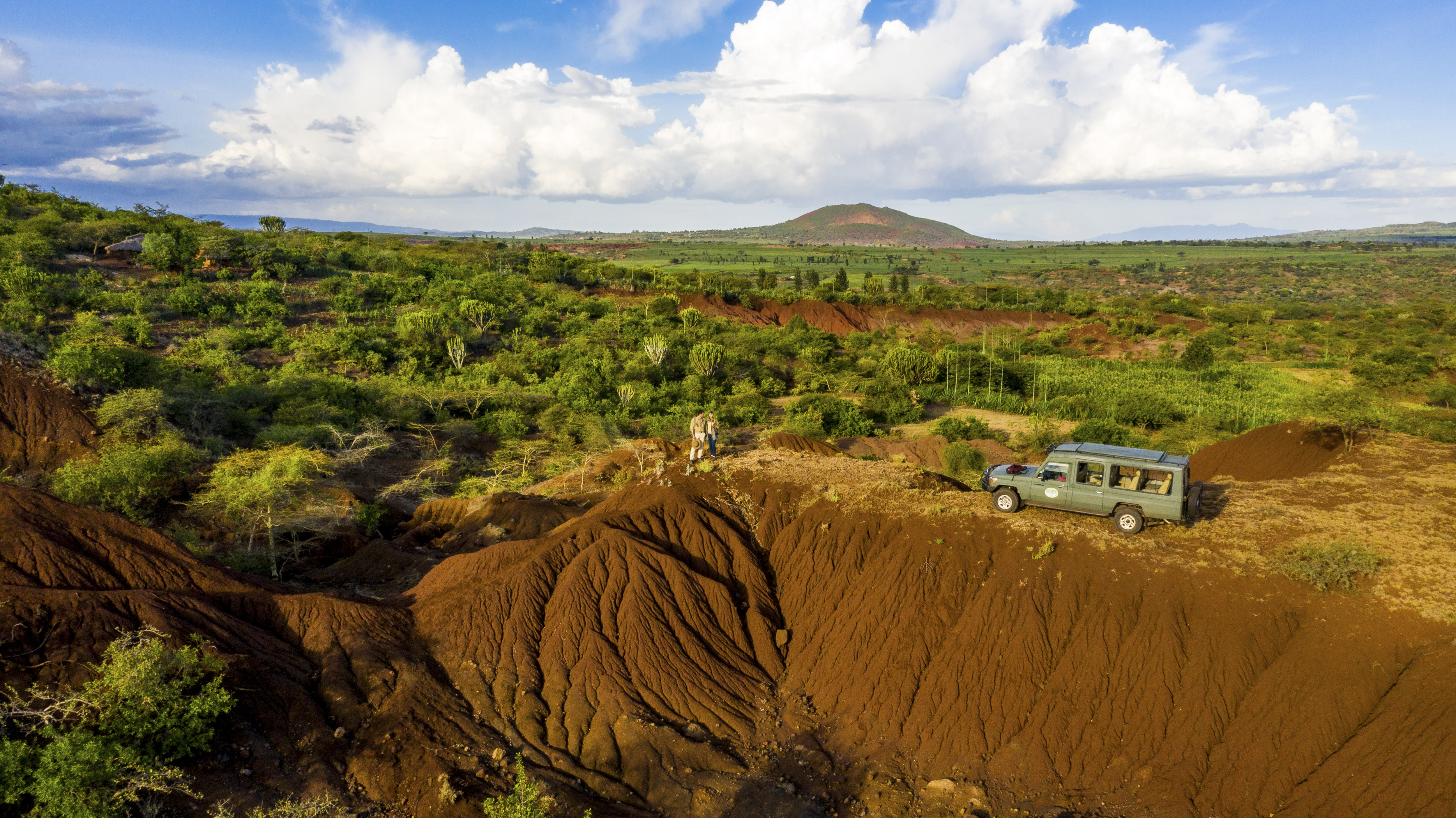 Safari en Afrique