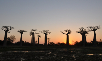 Voyage Madagascar photo