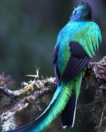 Un Voyage Entre Nature et Aventure