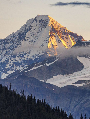 Alaska - la dernière frontière, entre faune sauvage et grands espaces