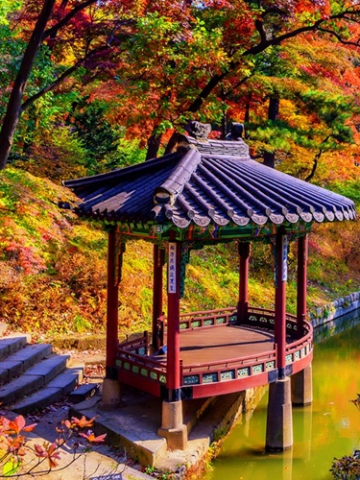 Paysages et culture au pays du matin calme