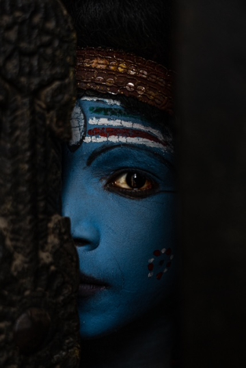 L'Inde, au-delà du tigre